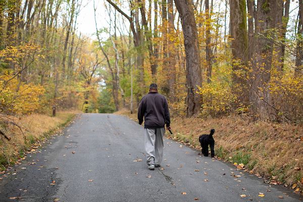 Man walking his dog along dedicated paved trail in the forest