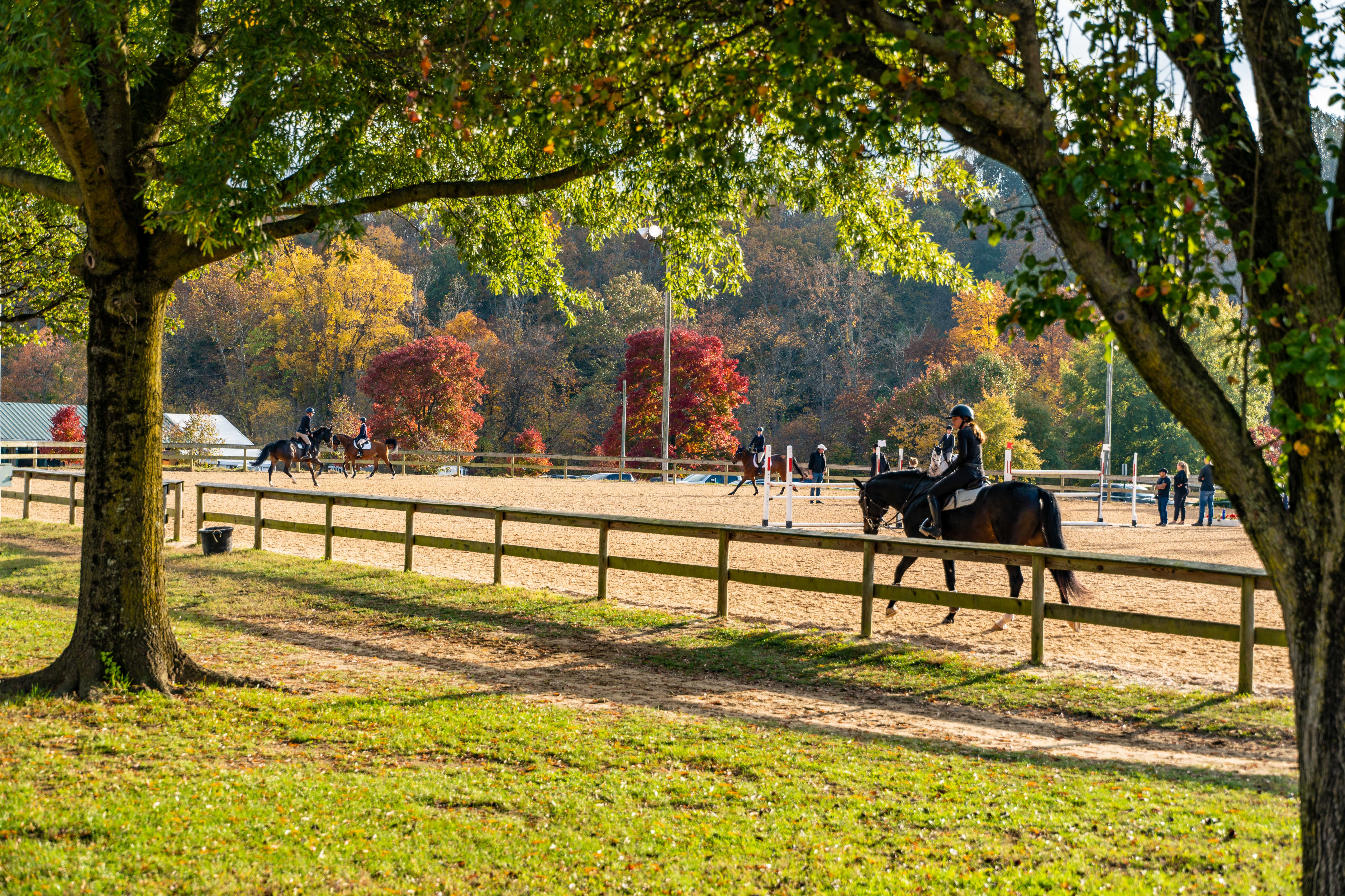 Horses and riders exercising over jumps.