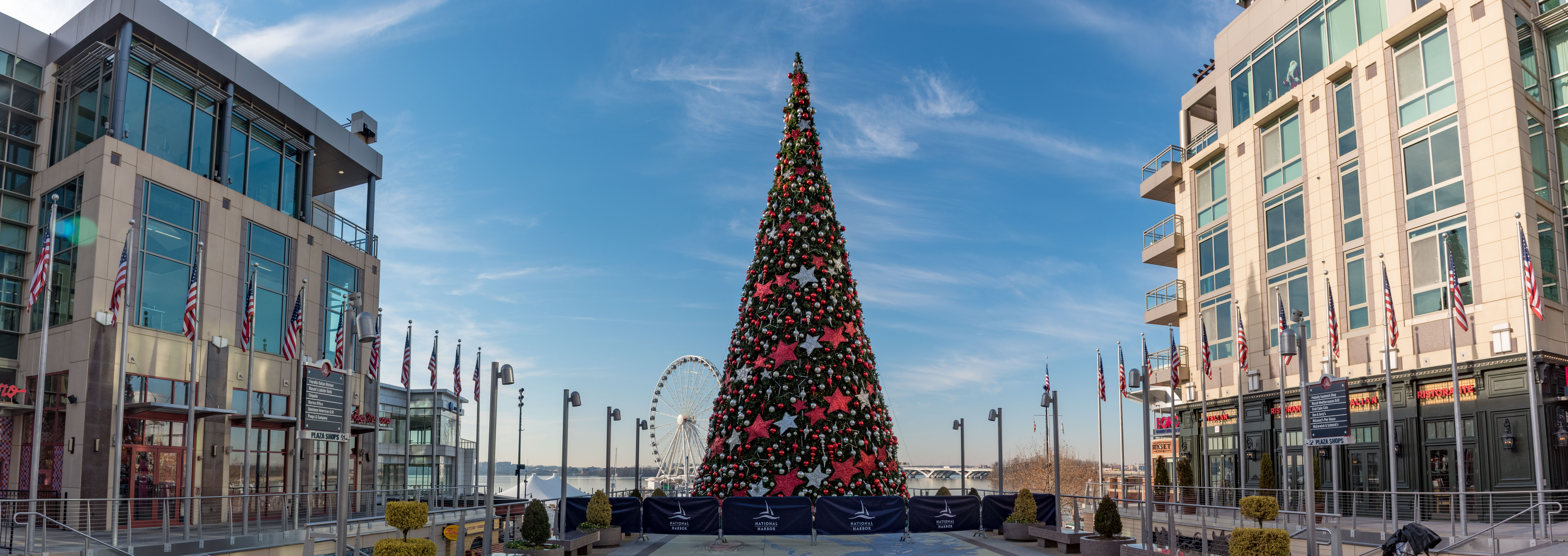 winter, Retail, Shopping, National Harbor, Christmas Tree