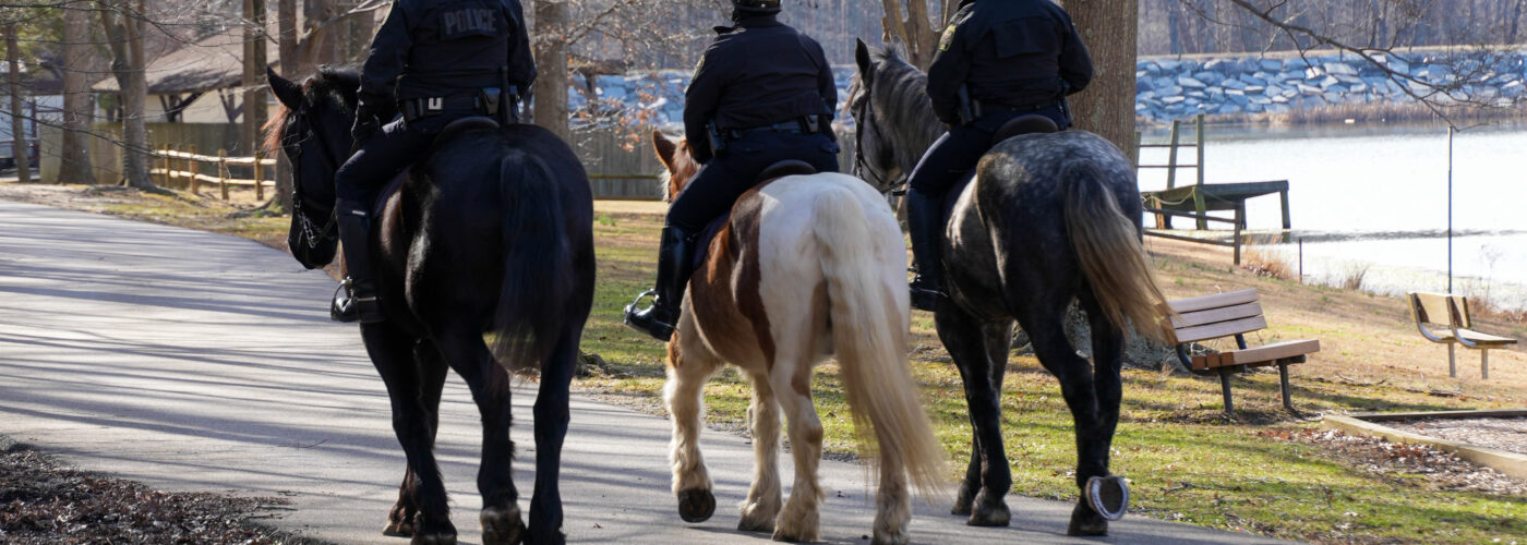 Horse-mounted Park Police