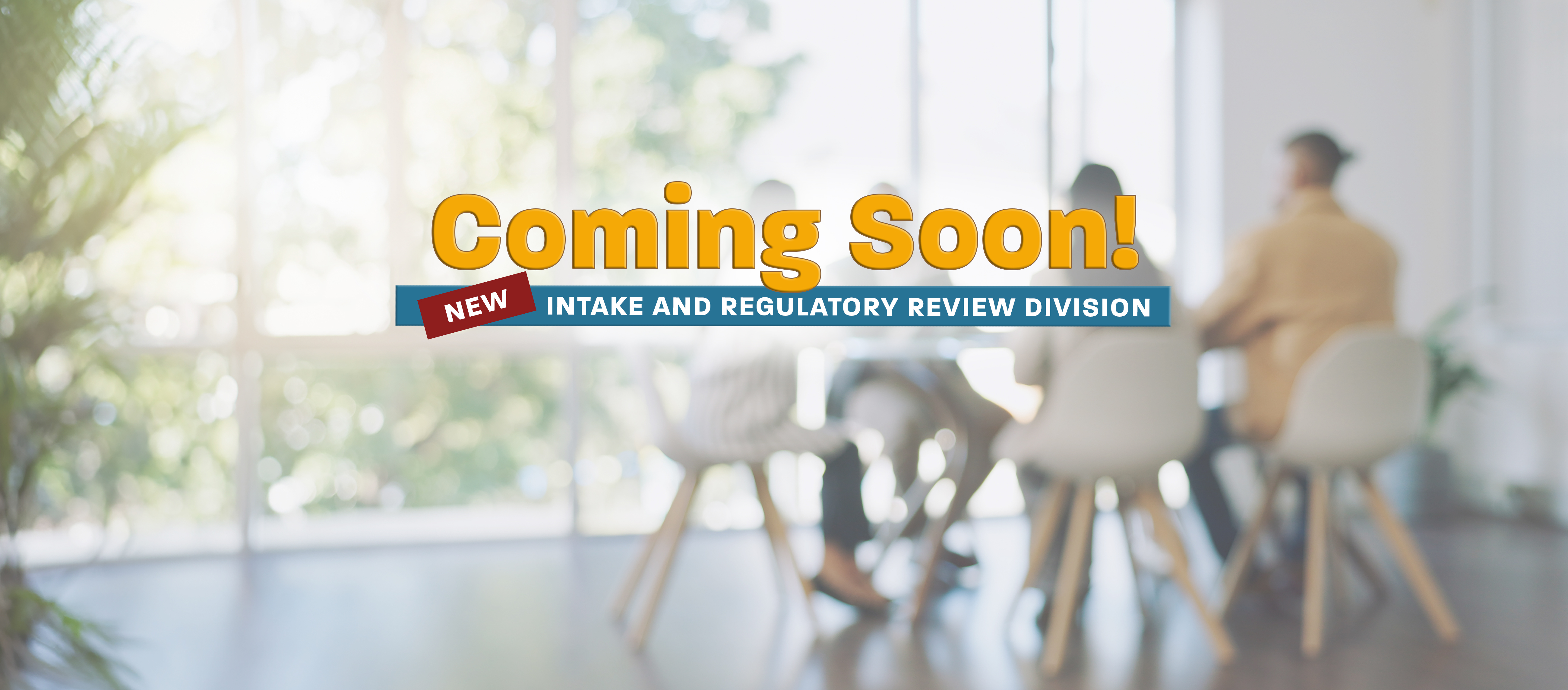 Intake and Regulatory Review Division - Coming Soon